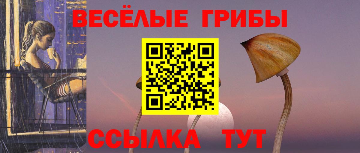 Галлюциногенные грибы прущие грибы Магадан
