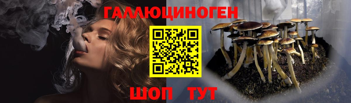 как найти закладки  Псилоцибиновые грибы Psilocybine cubensis  Вход с VPN  Магадан 